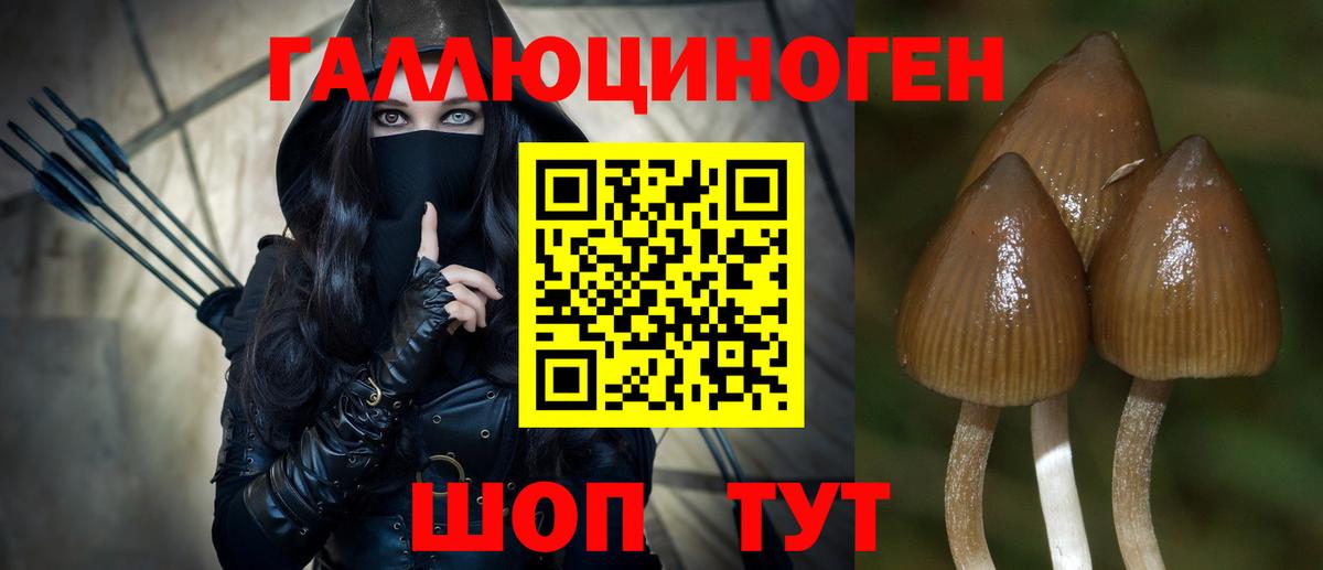 Псилоцибиновые грибы ЛСД Нефтекамск